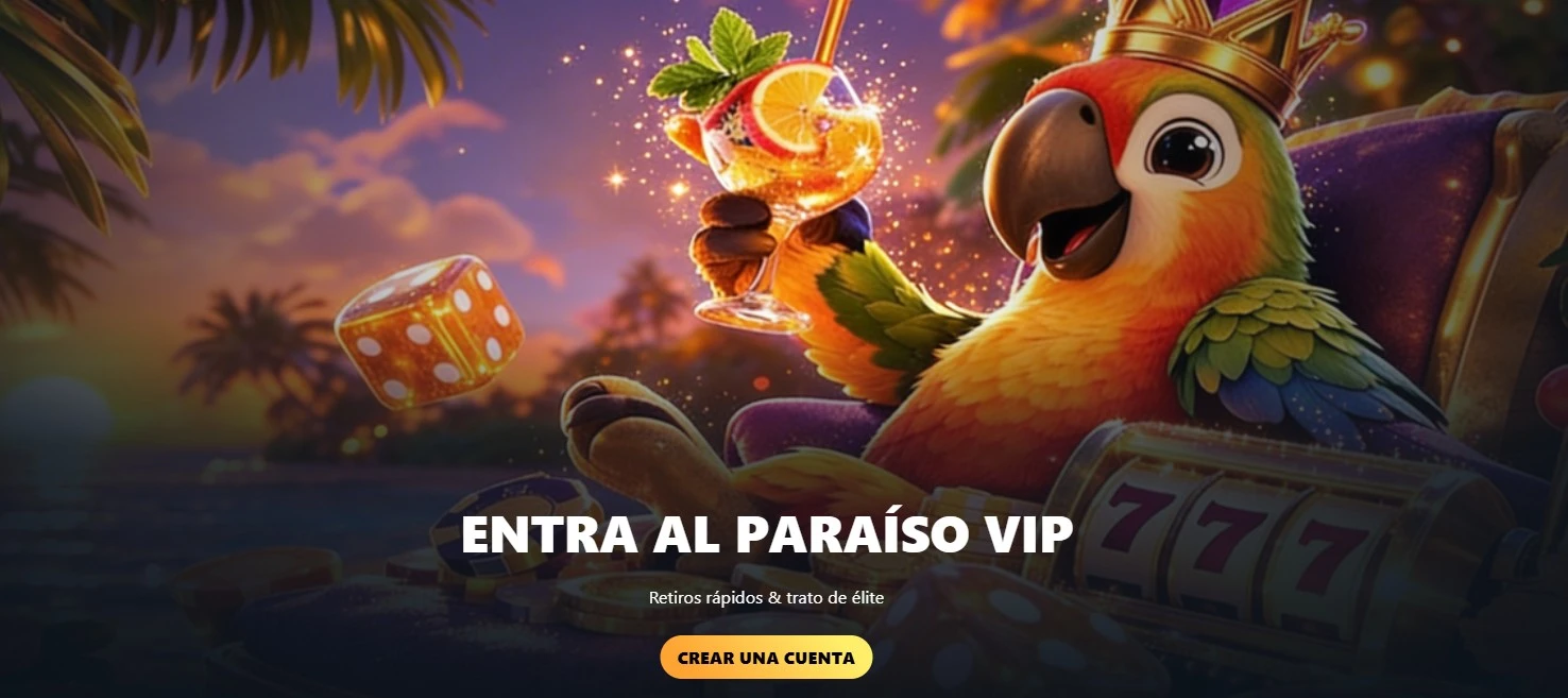 Promotional Banner